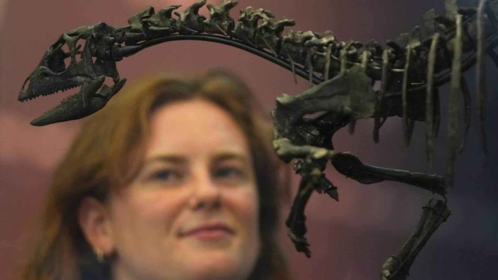 This dog-sized dinosaur lived around 150M years ago This dog-sized dinosaur lived around 150M years ago