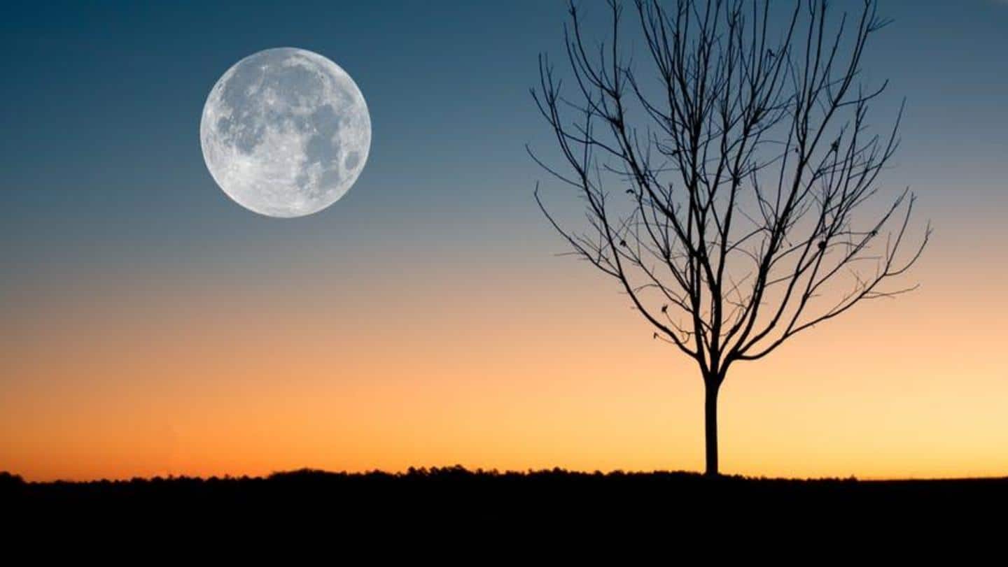 Strawberry, Worm, Flower, and more: How are full moons named?