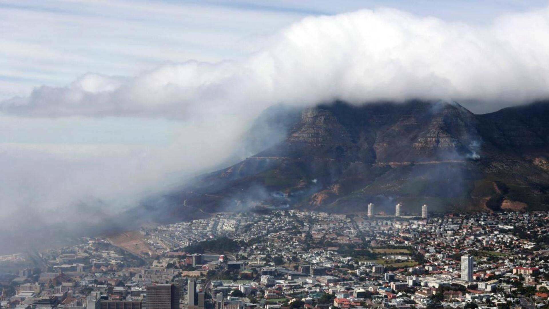 Foul stench blankets Cape Town, traced to ship carrying cattle