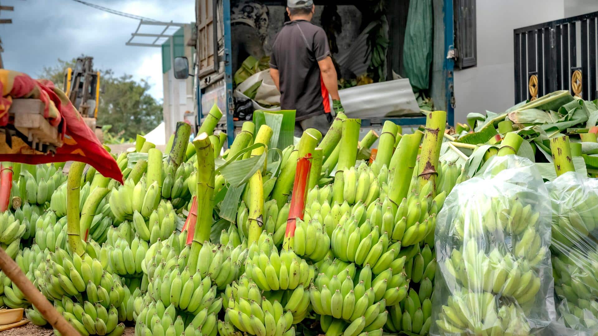 Turn banana stems into tasty meals with these easy ideas