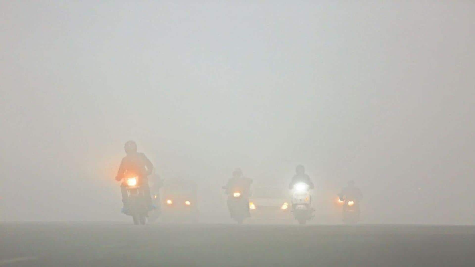 Delhi-NCR enveloped in dense fog, low visibility at airport