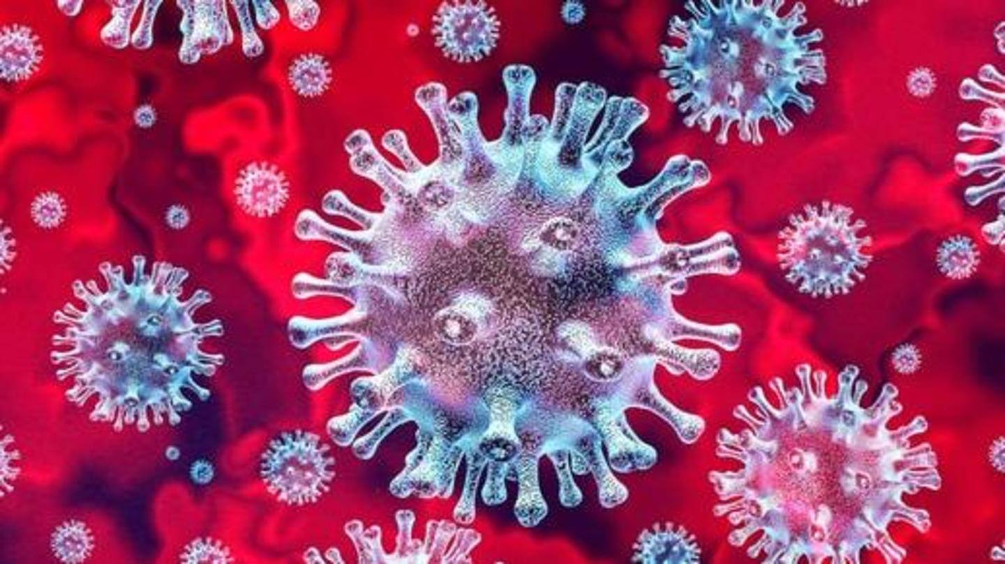 Virologist confirmed researchers' findings Virologist confirmed researchers' findings