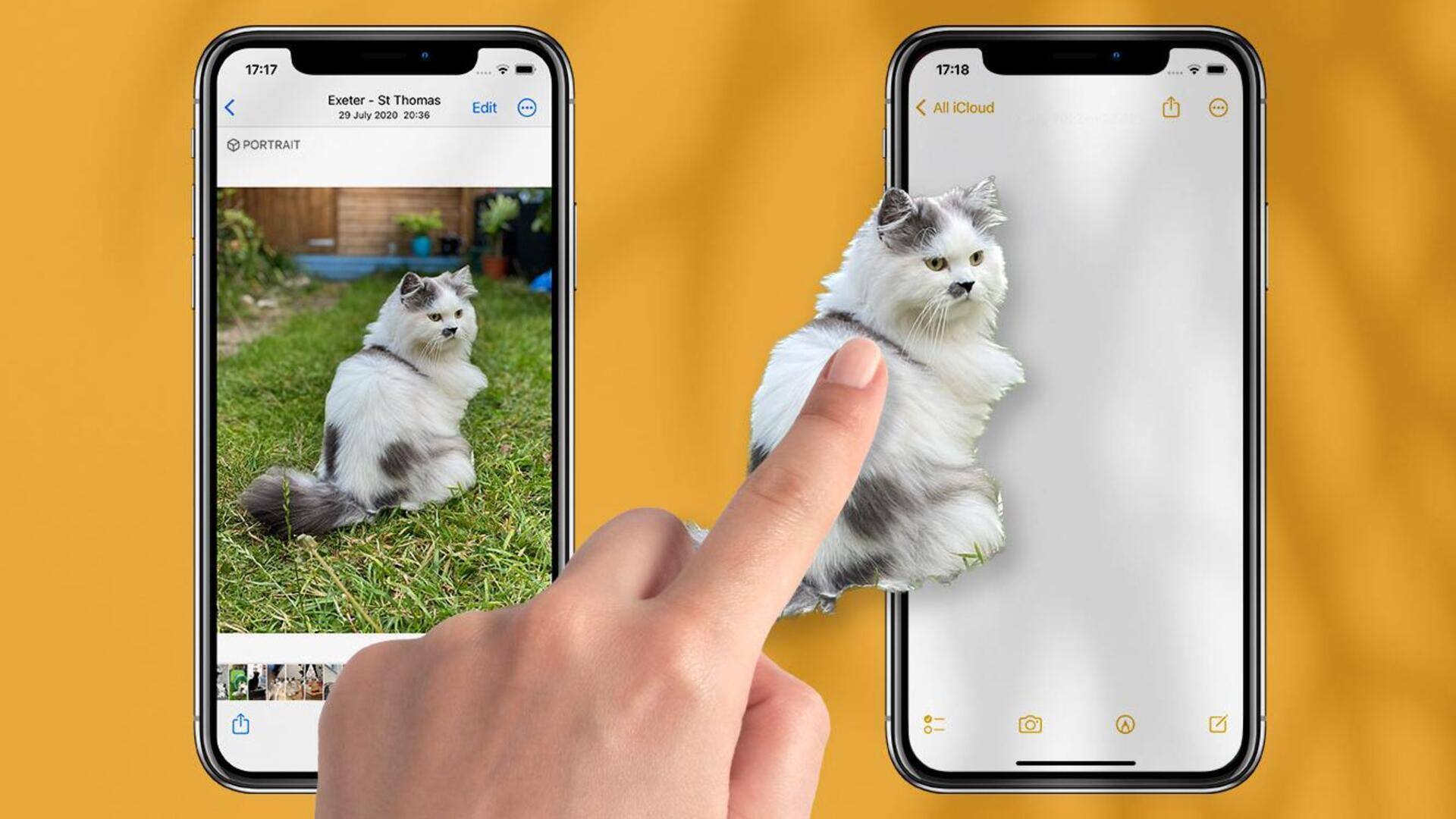 How Apple's background removal tool works on your iPhone