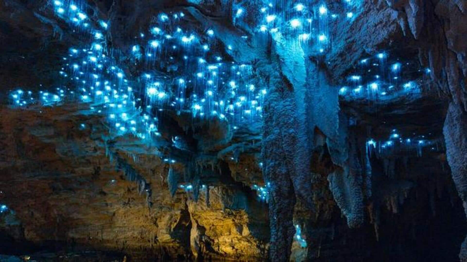 Marvel at Waitomo's luminous glow worm caves