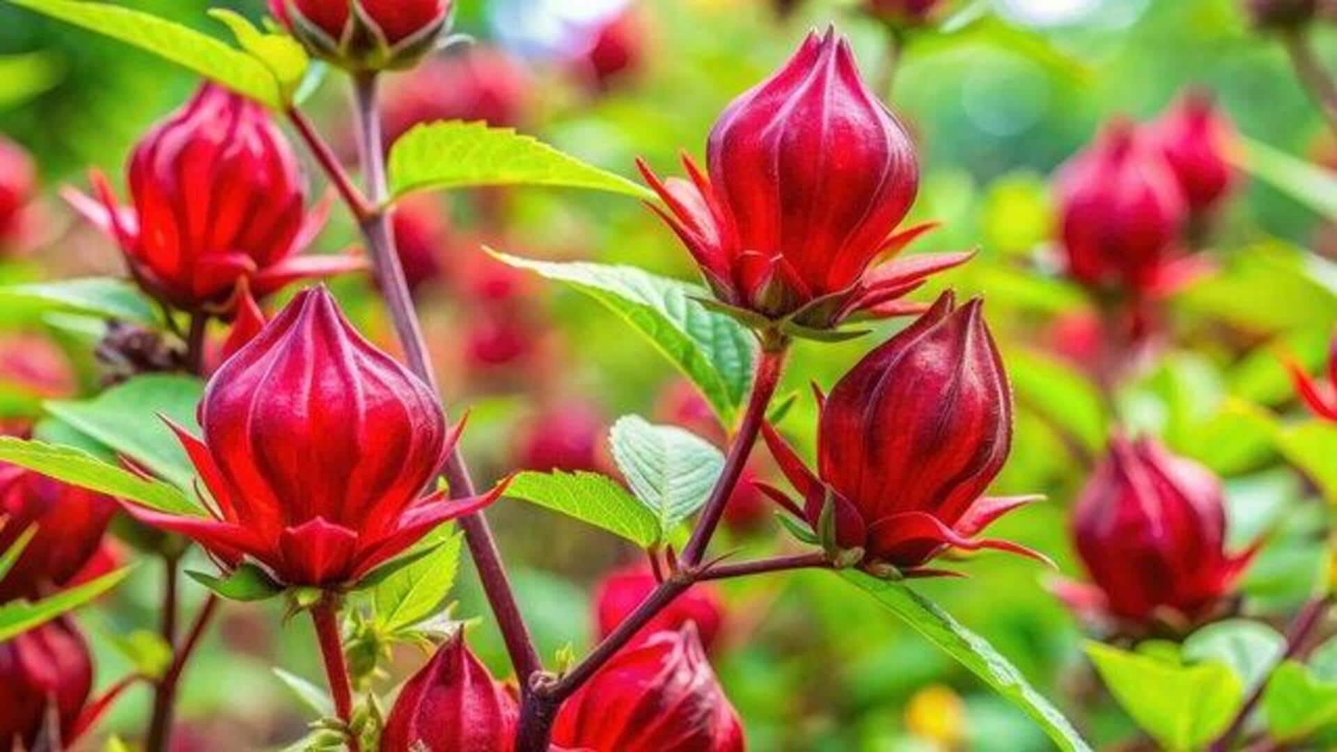 Add a crunchy twist to your meals with roselle seeds