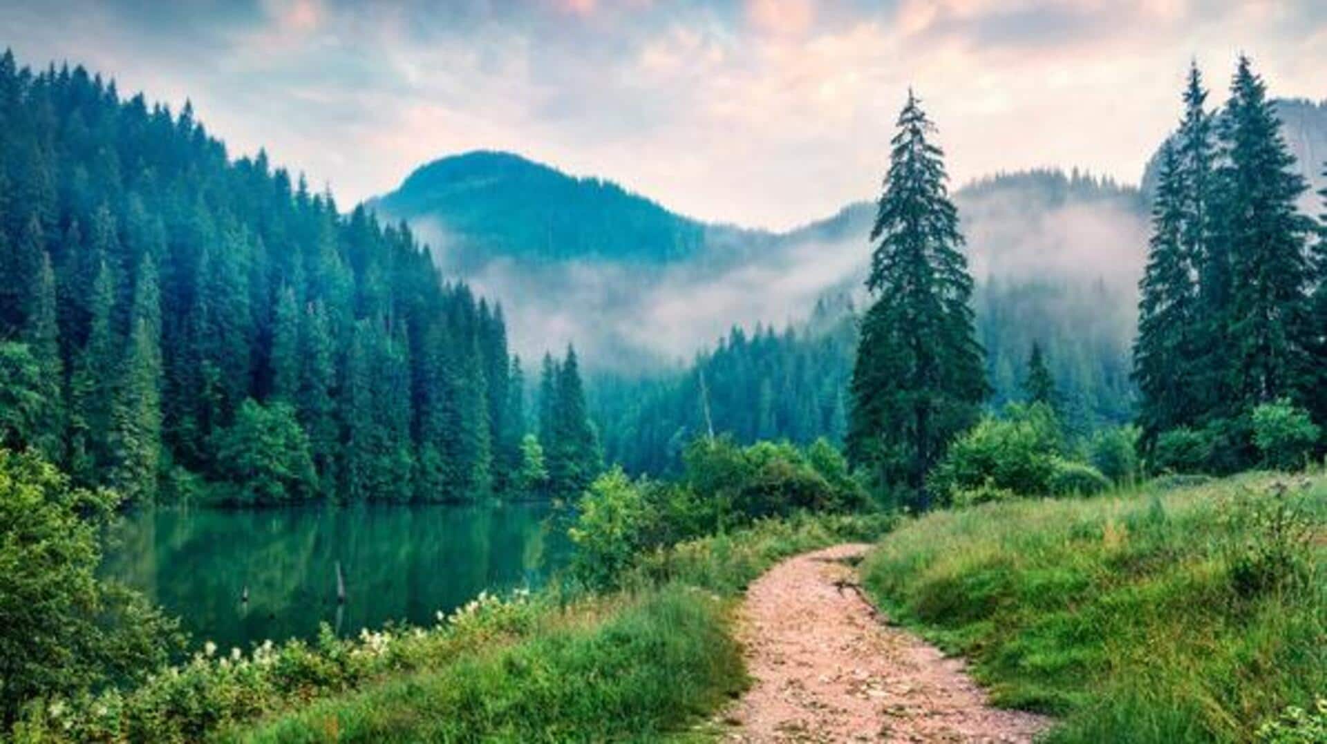 You must visit these nature reserves in Scandinavia