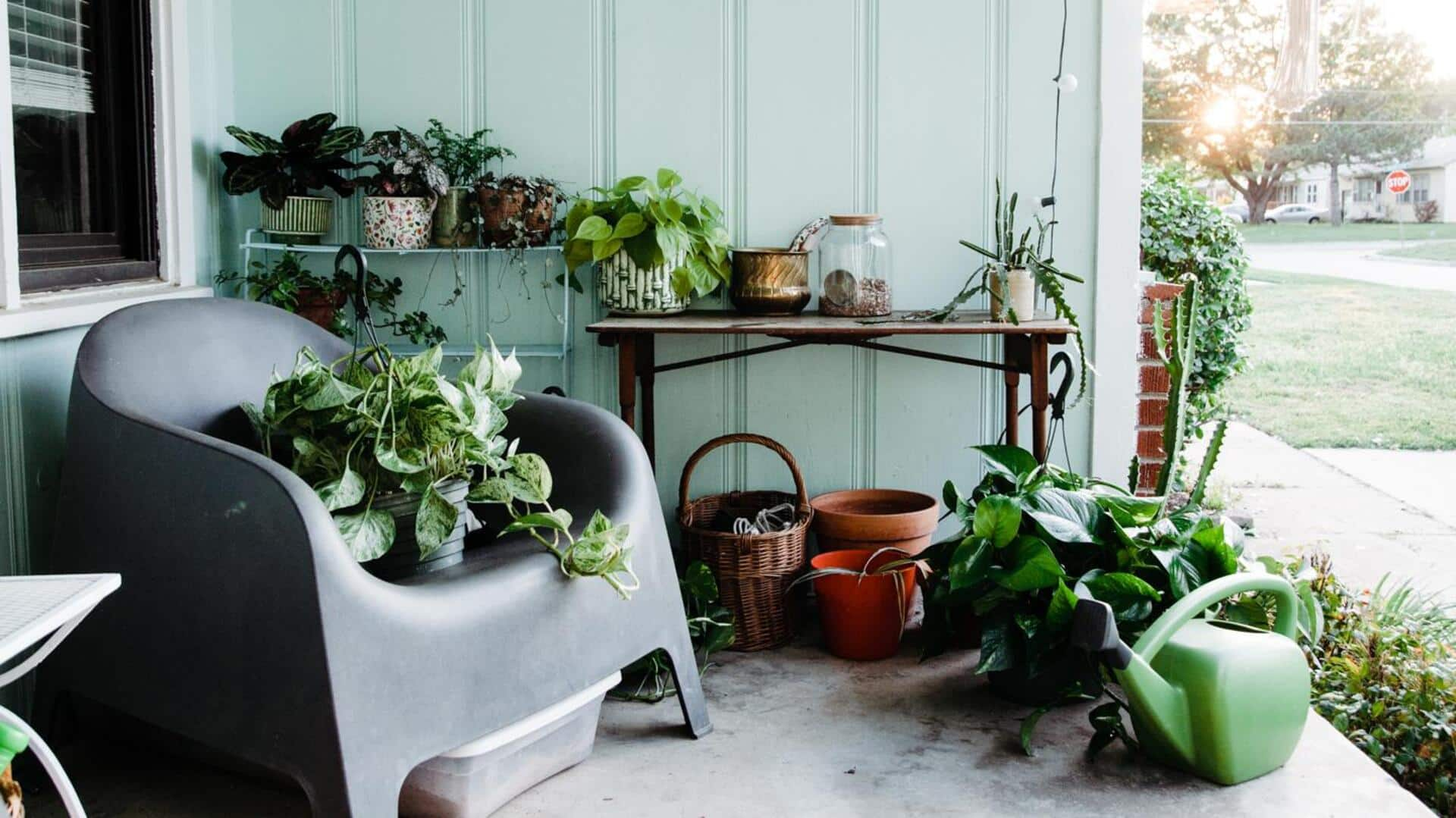 Get your plants station in order—it's easy!