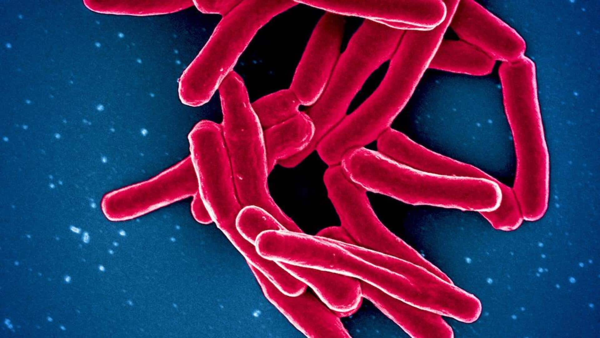 TB bacteria's growth behavior unraveled, paving way for better treatments