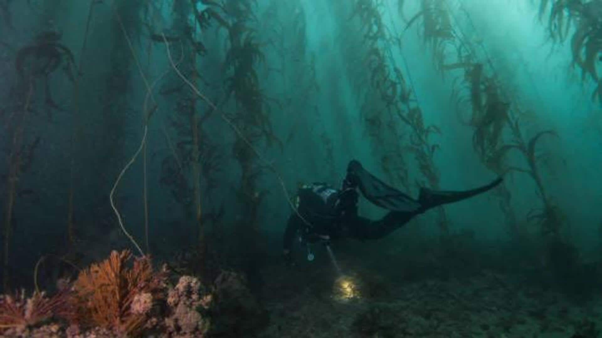 Love snorkeling? This hidden gem is just for you Love snorkeling? This hidden gem is just for you