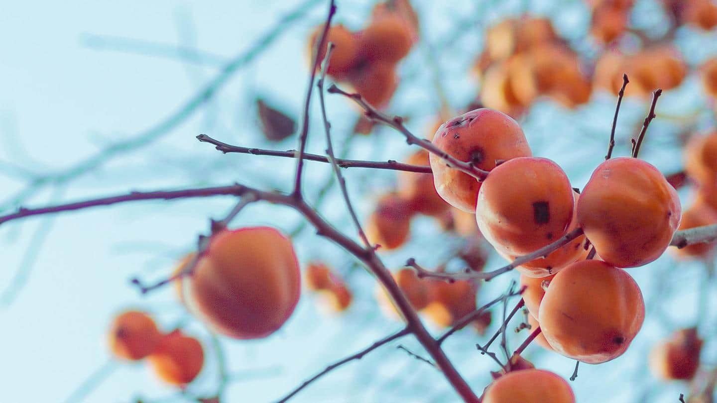 5 health benefits of persimmon - fruit of the Gods