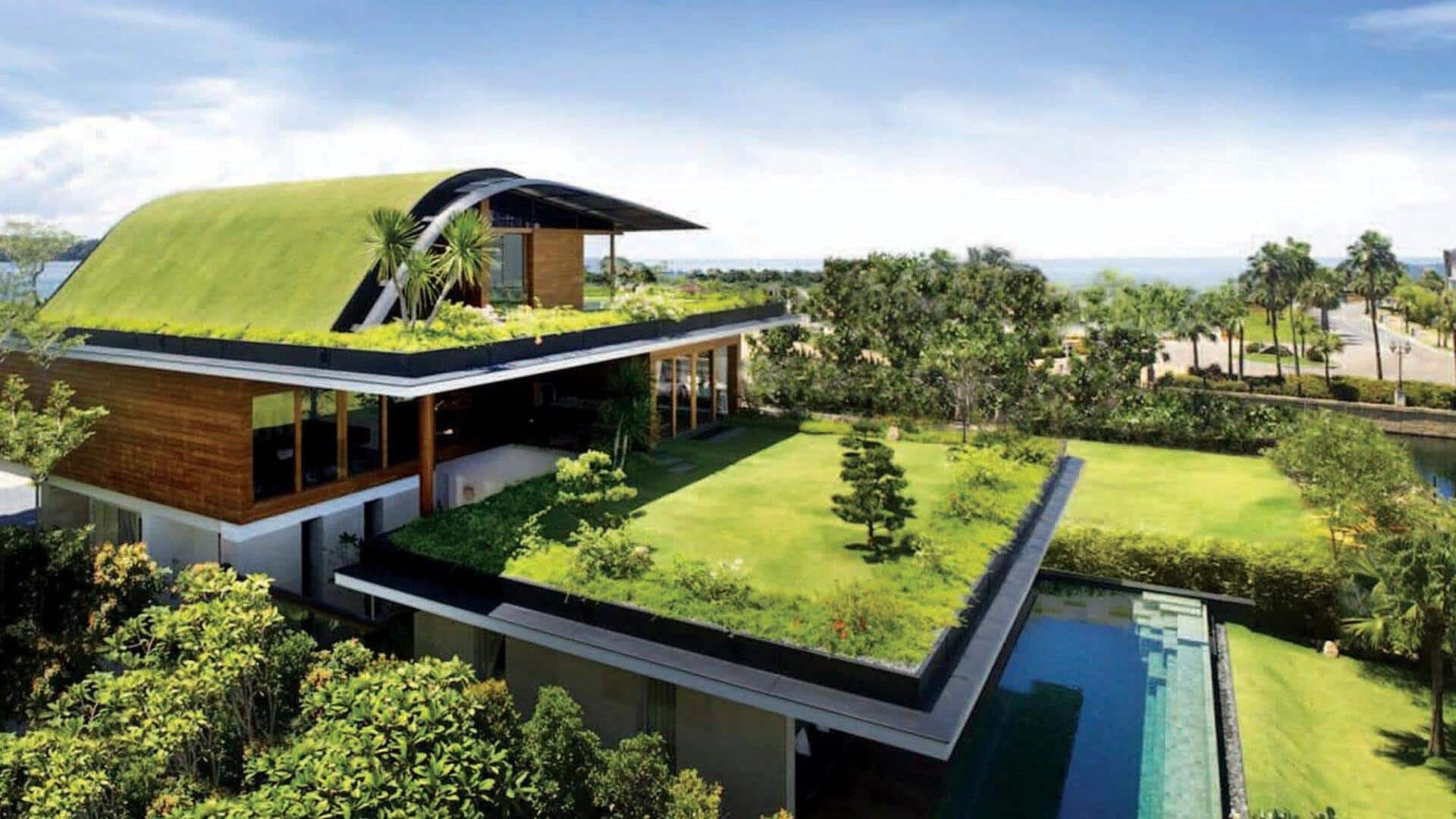 How eco-friendly rooftops are redefining urban landscapes How eco-friendly rooftops are redefining urban landscapes