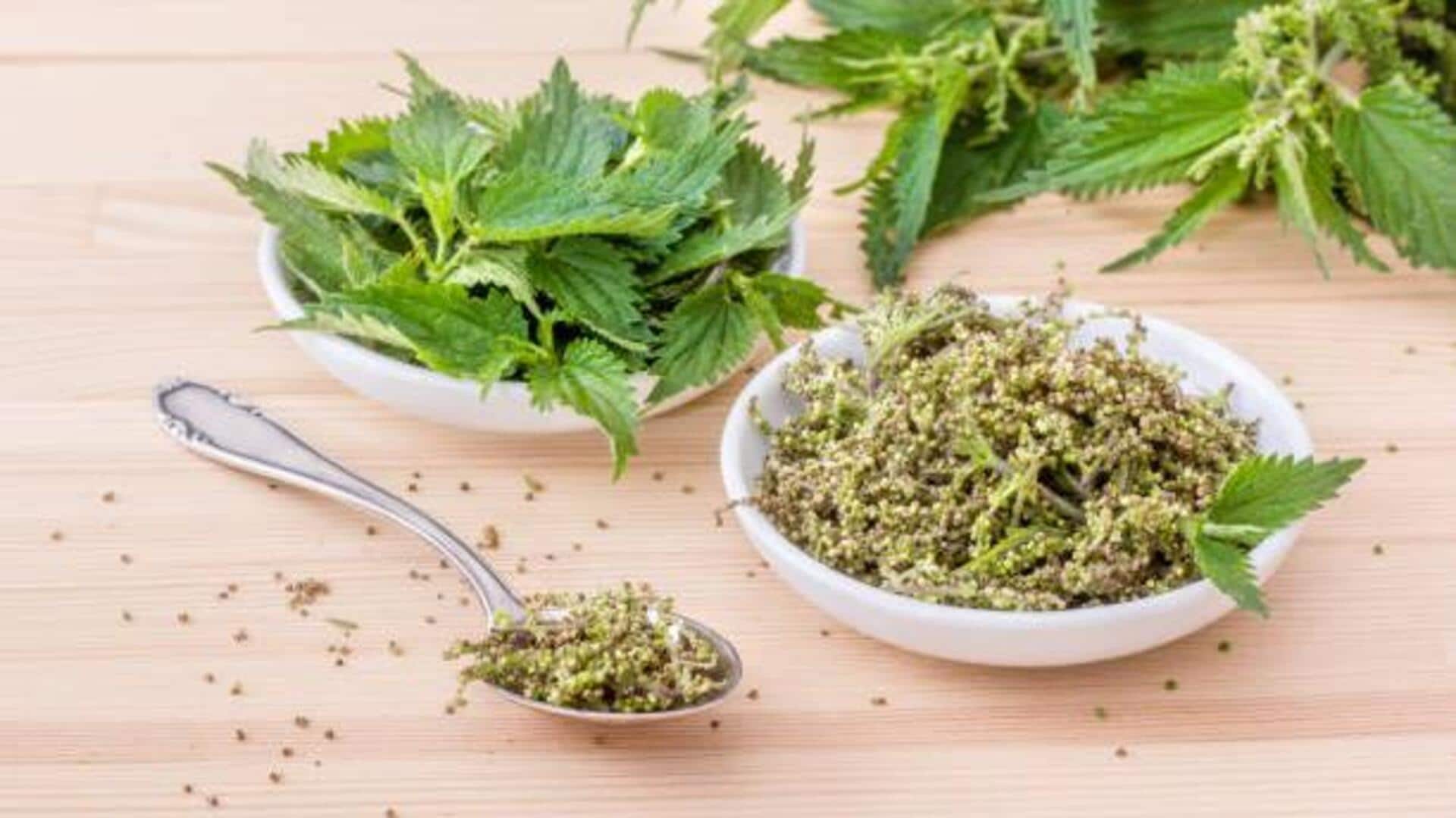 Nettle leaves: The one herb your hair needs