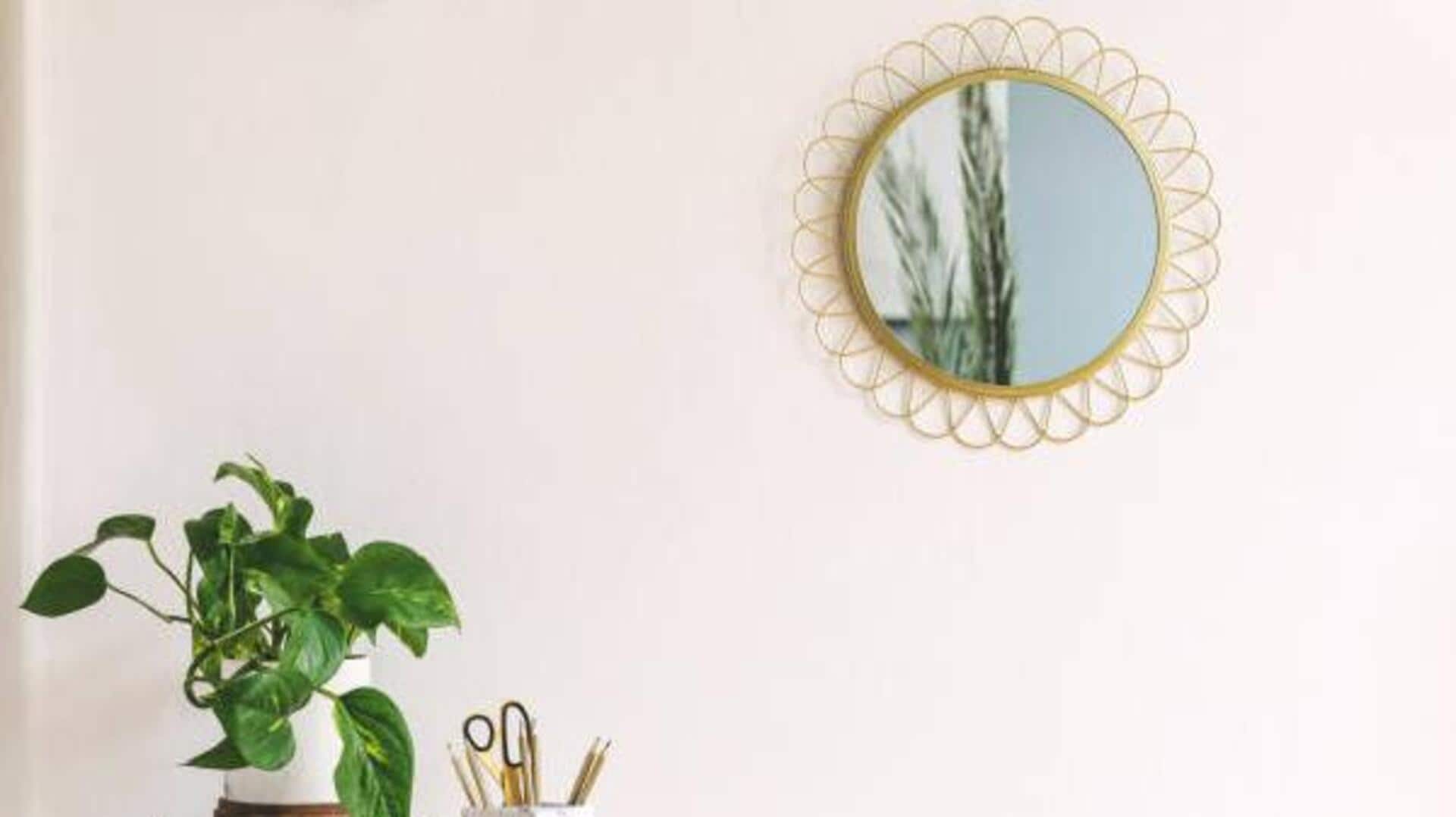 Cowrie shell mirrors: A unique home decor idea