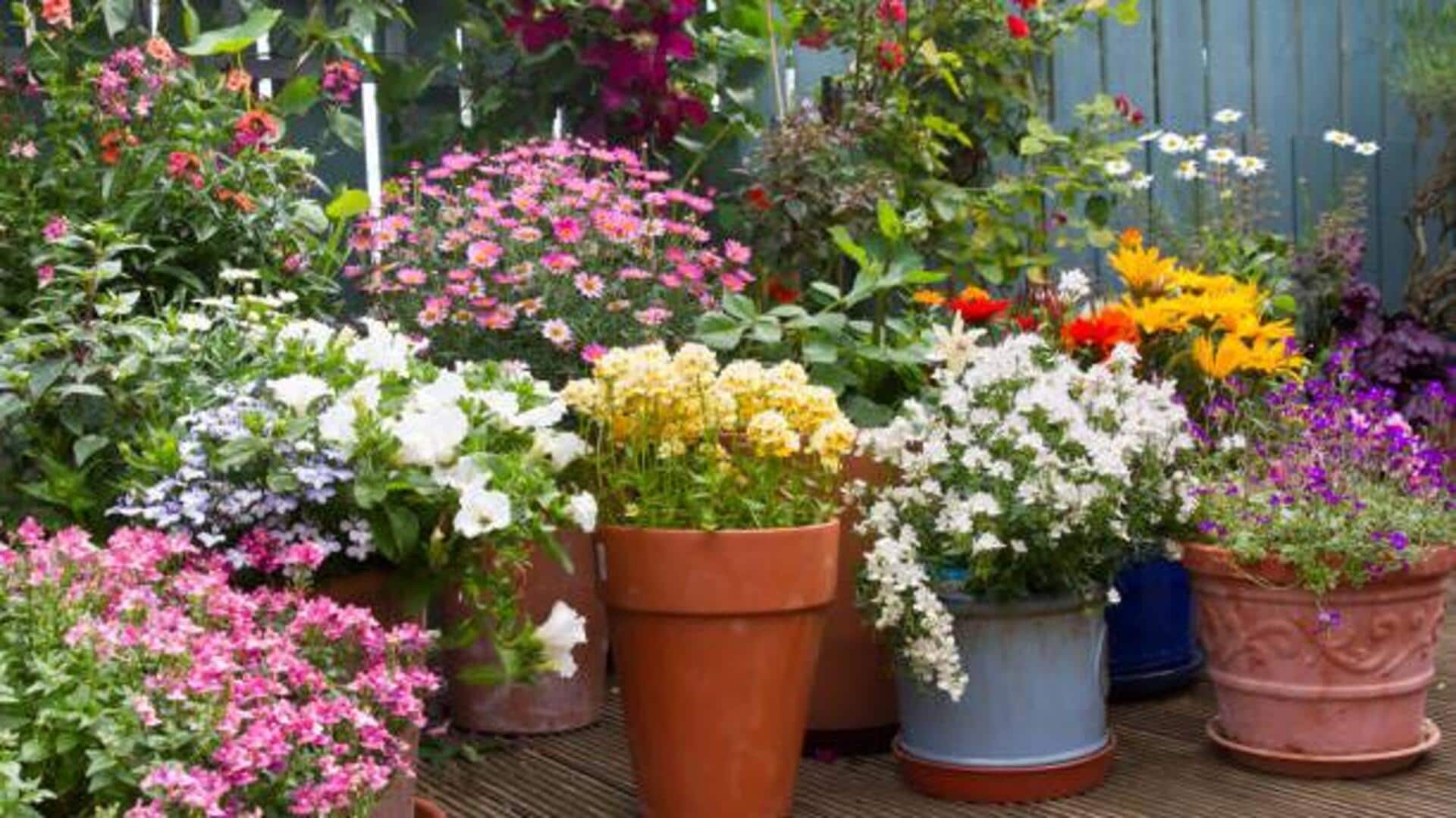 5 unique plants to enhance your garden