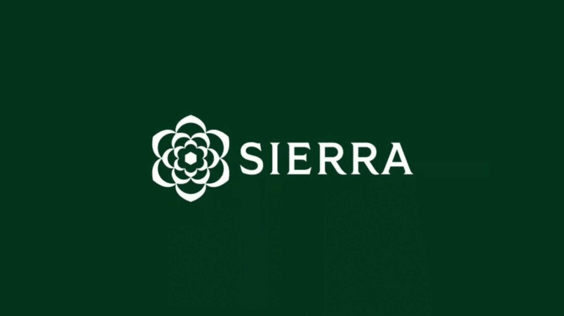 Sierra, AI start-up by OpenAI chair, now valued at $4.5B