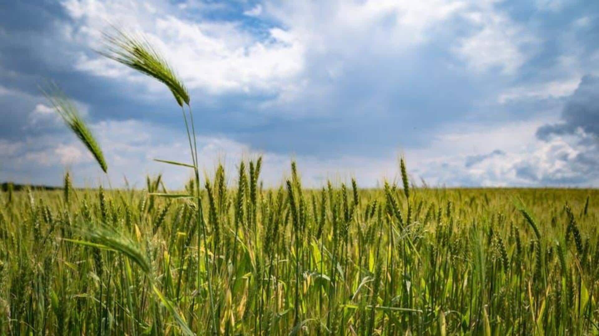 Lunar planting festivals: How the moon shapes crop growth