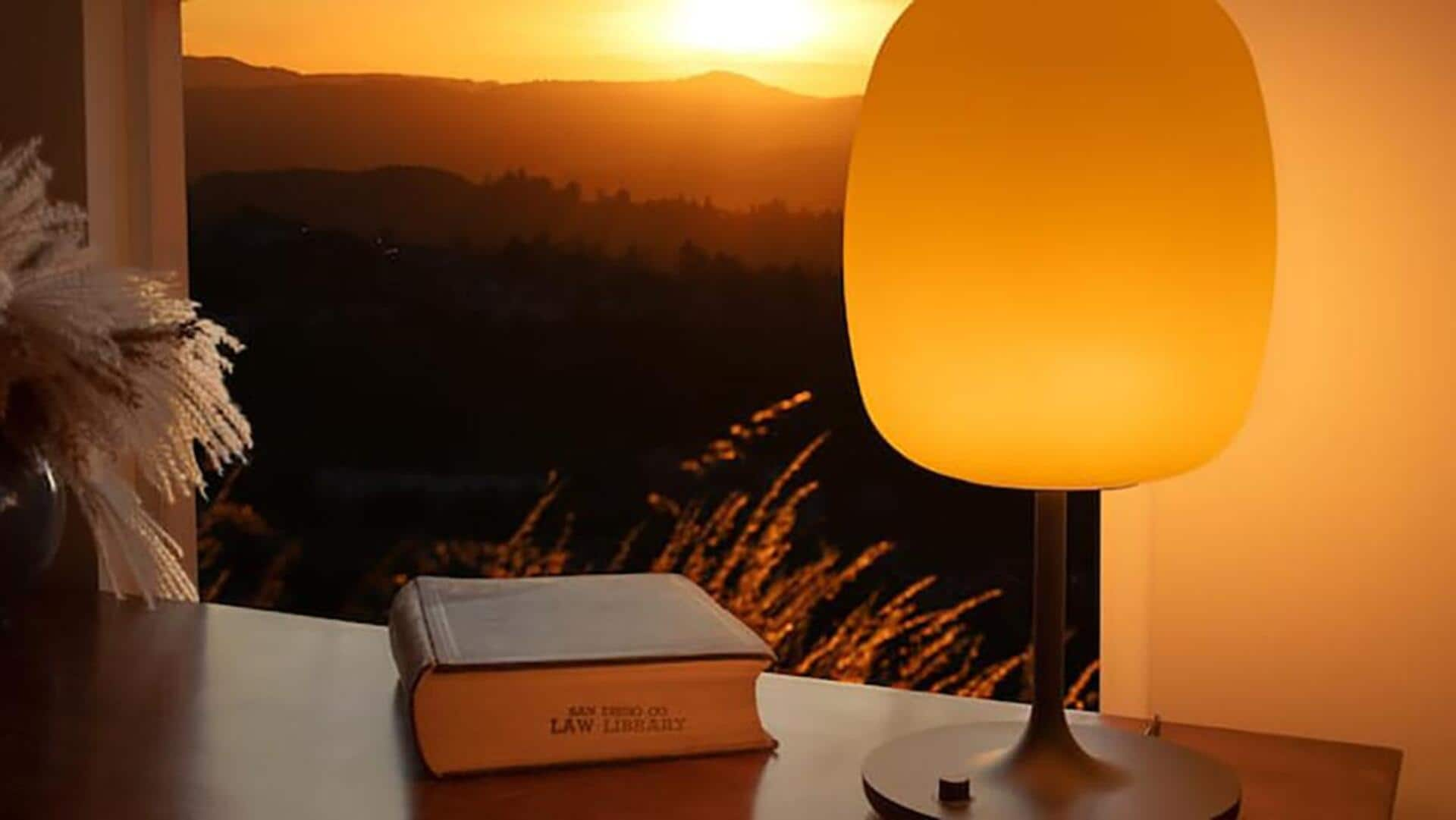 Make your own sunlight-simulating lamp with this DIY guide