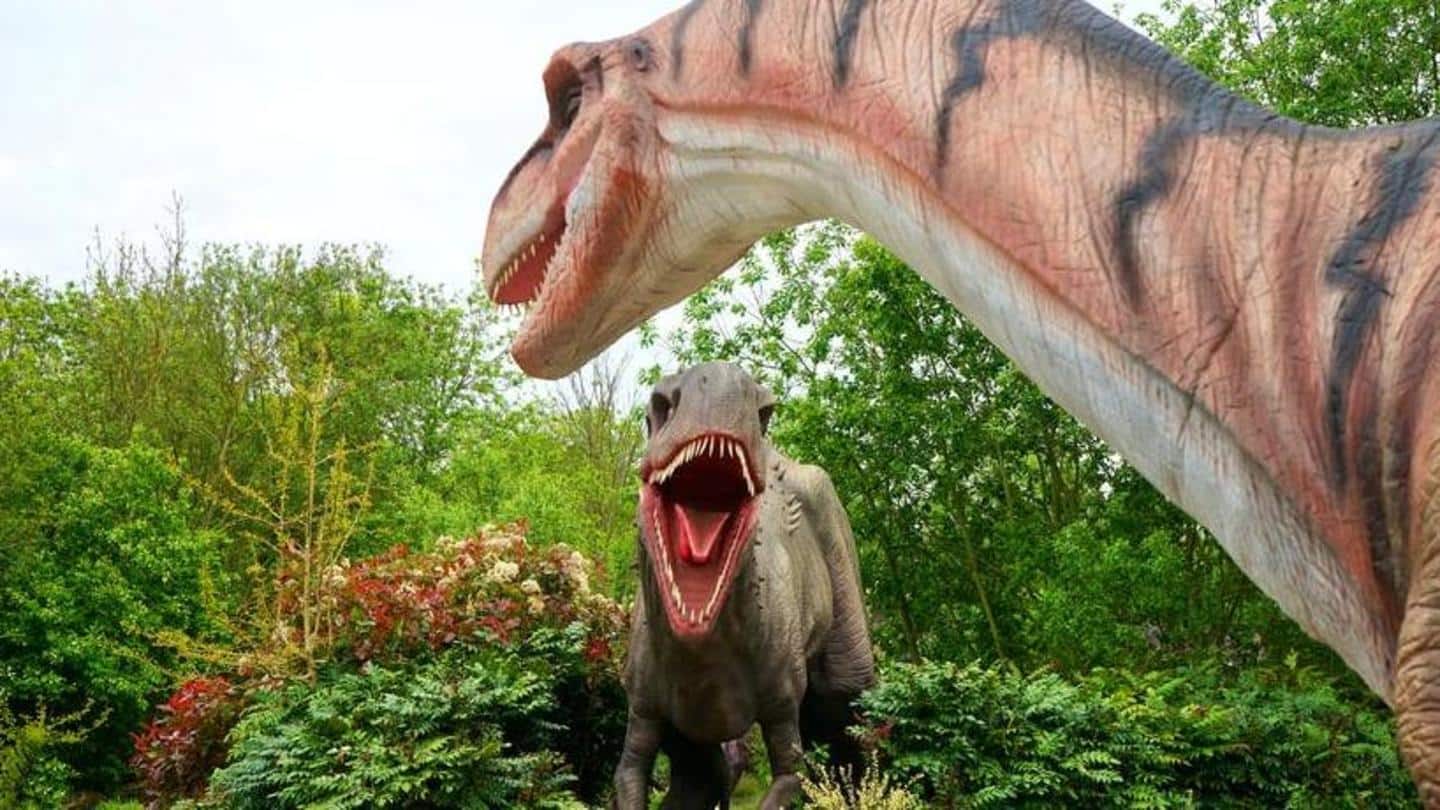 Dinosaur Day: Fun facts about dinosaurs