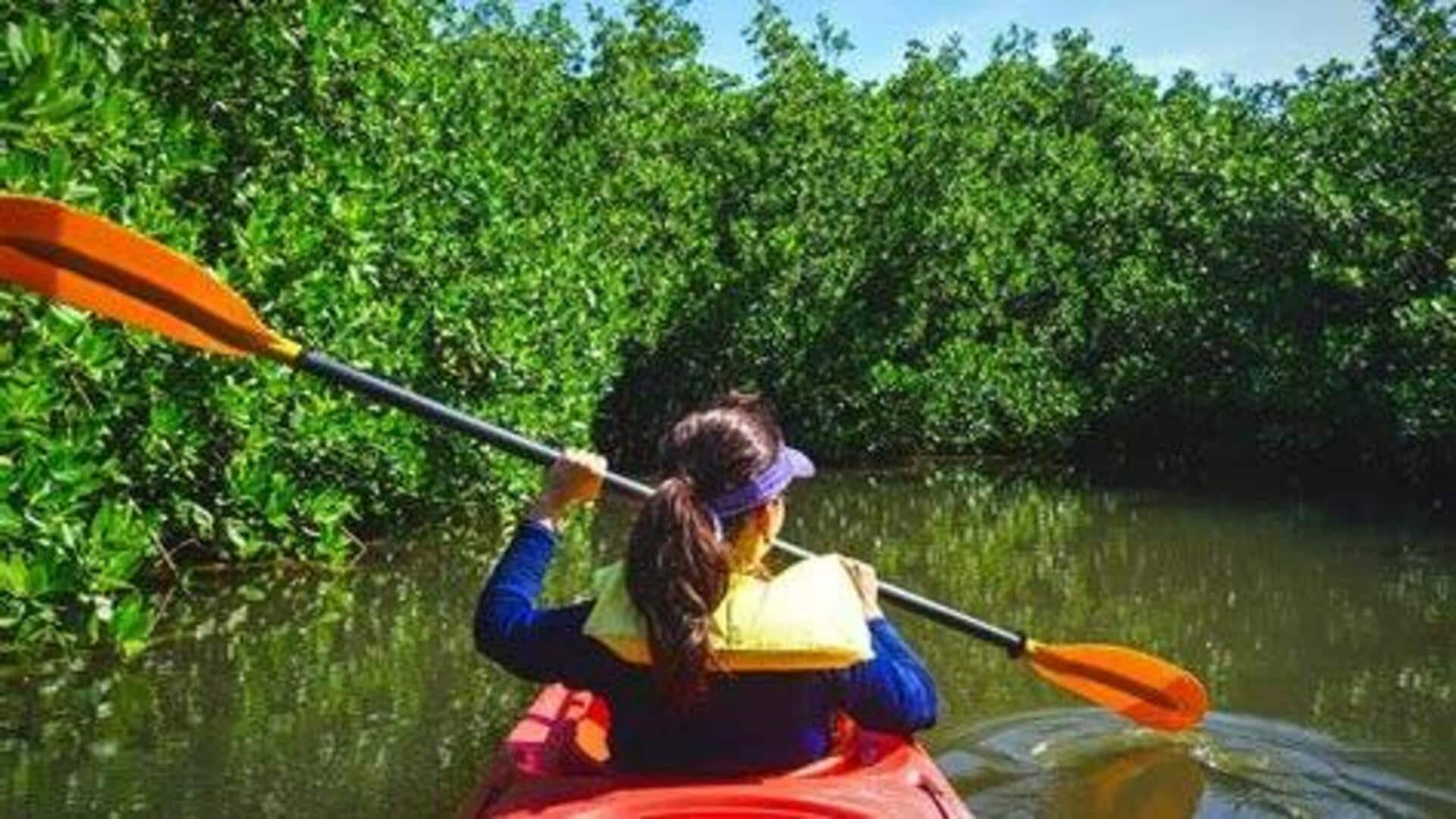 Paddle through Borneo's mangrove forests, Malaysia