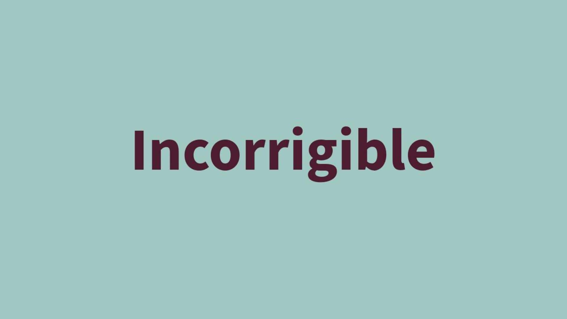 Word of the Day: Incorrigible 