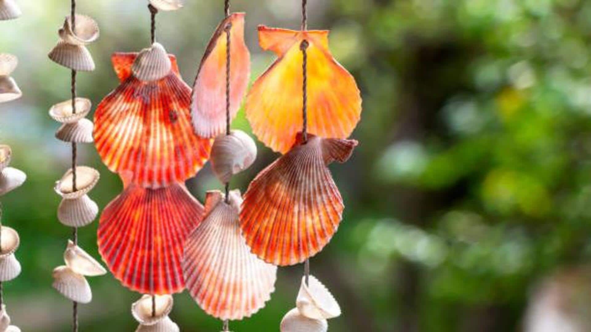 How to style your home with beach shells