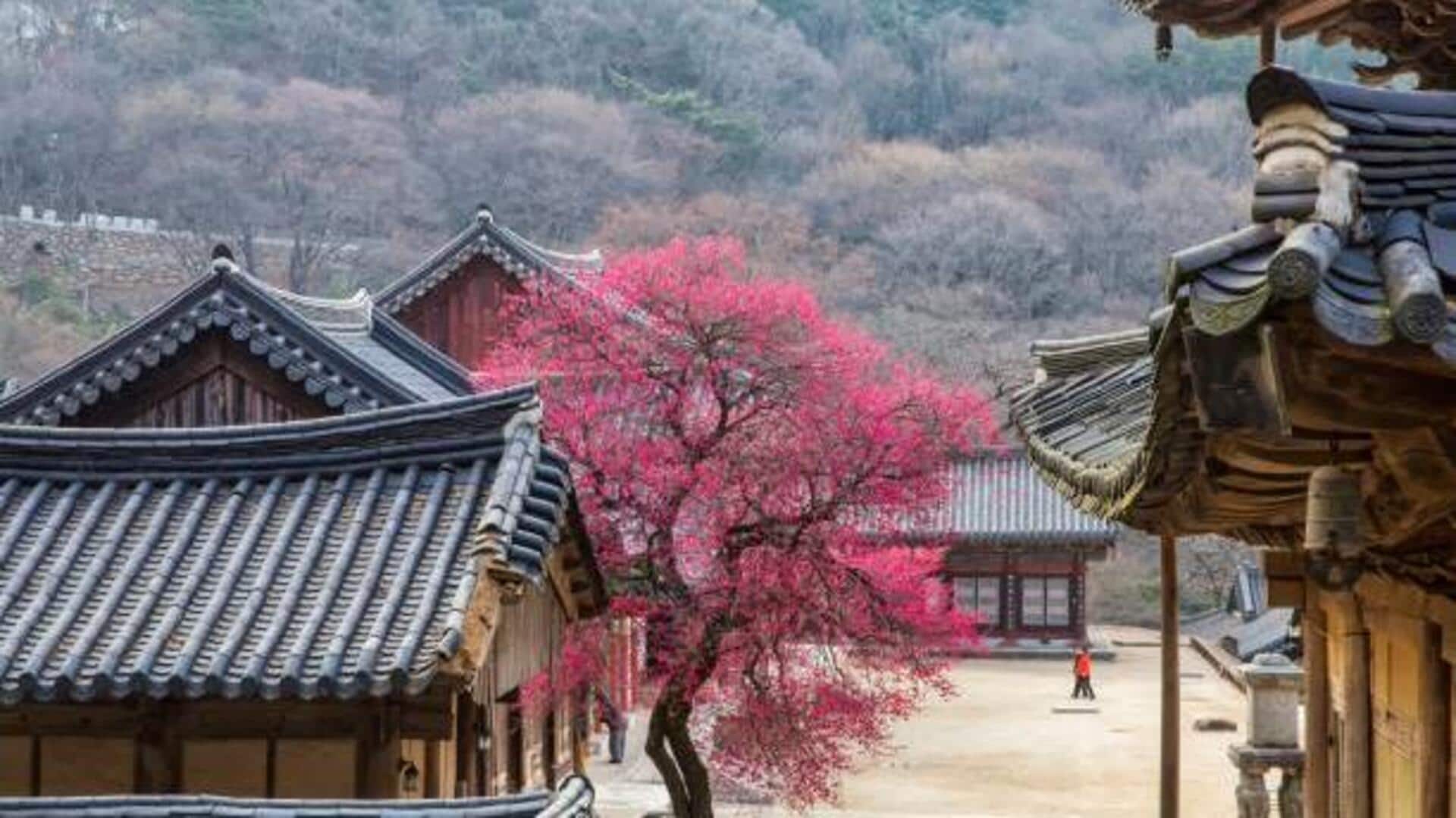 Hiking in Korea: Peaceful mountain trails Hiking in Korea: Peaceful mountain trails