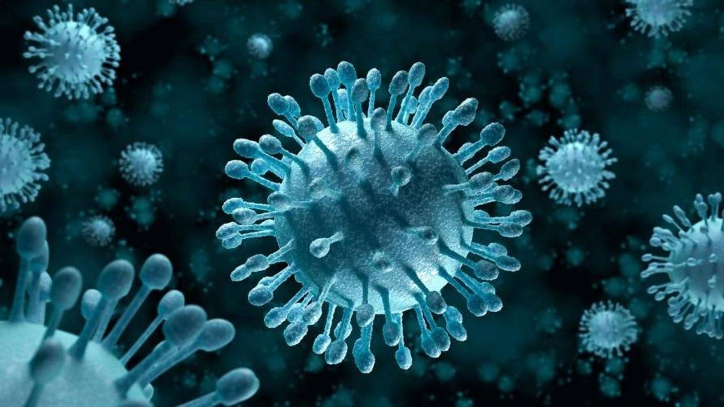 What is the norovirus? What is the norovirus?