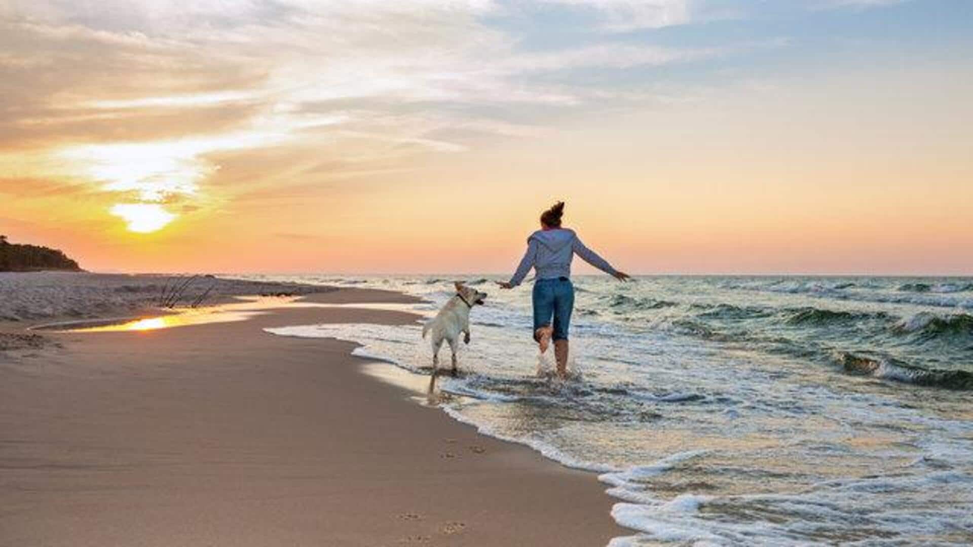 India's top pet-friendly destinations: A list
