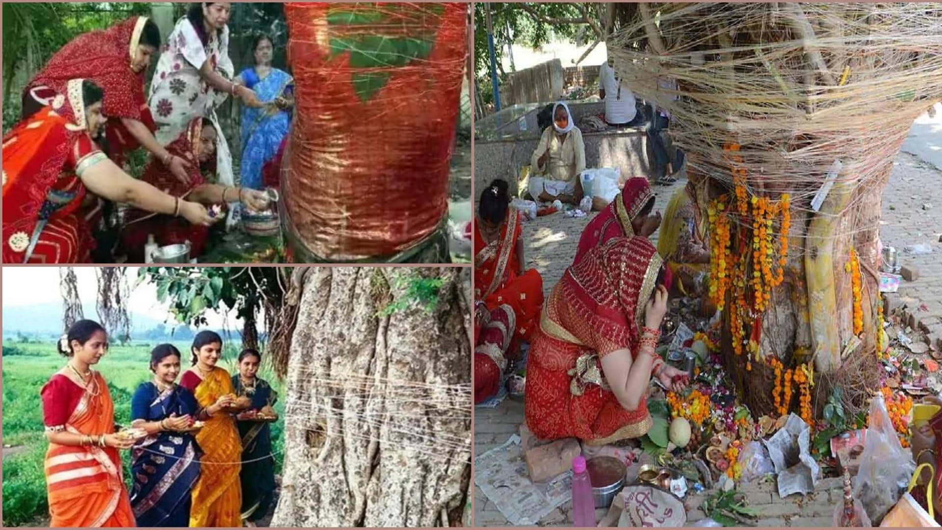 Vat Savitri Puja: Know about its rituals, significance, and history