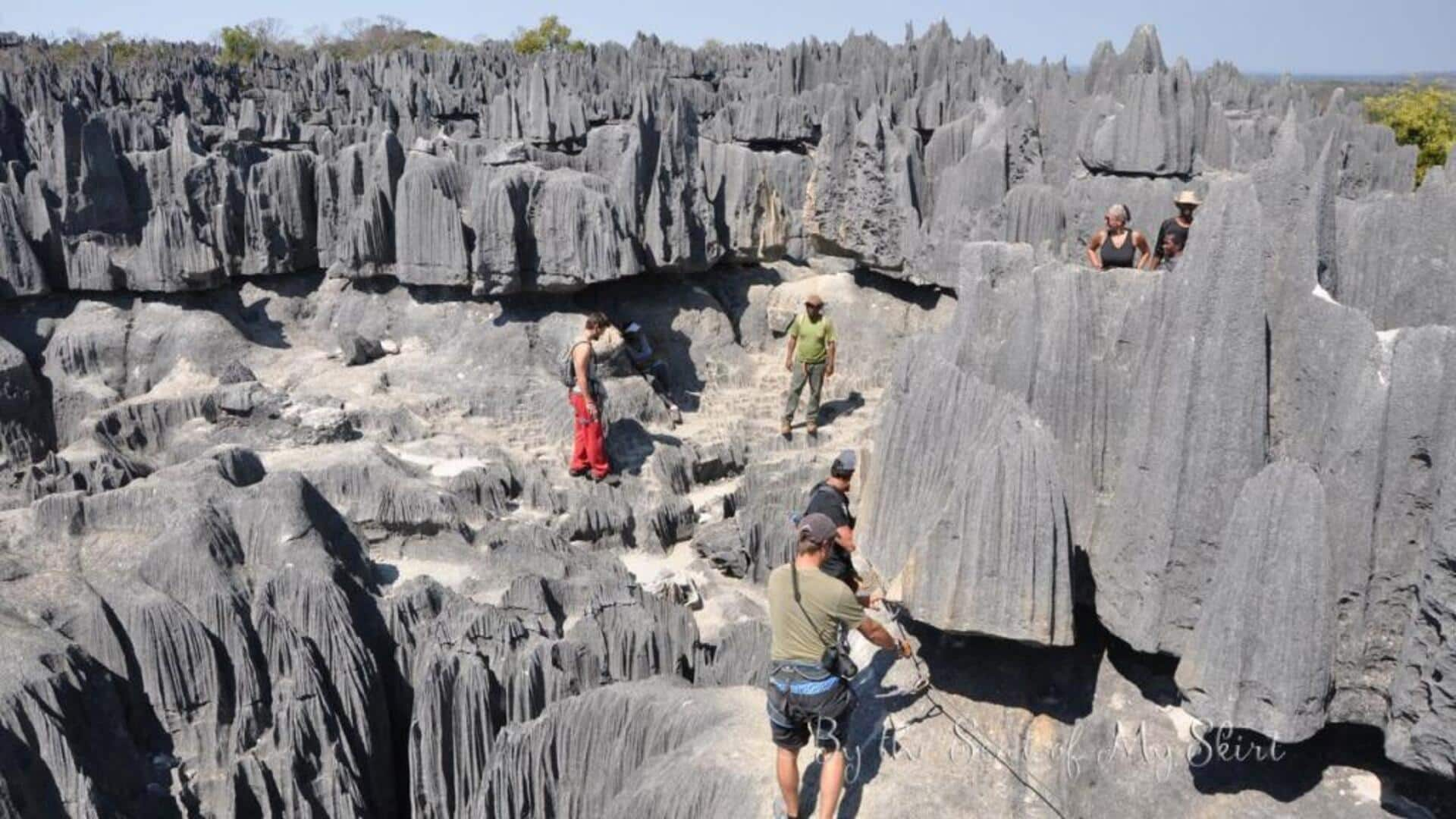 Journey through Madagascar's enigmatic stone forest