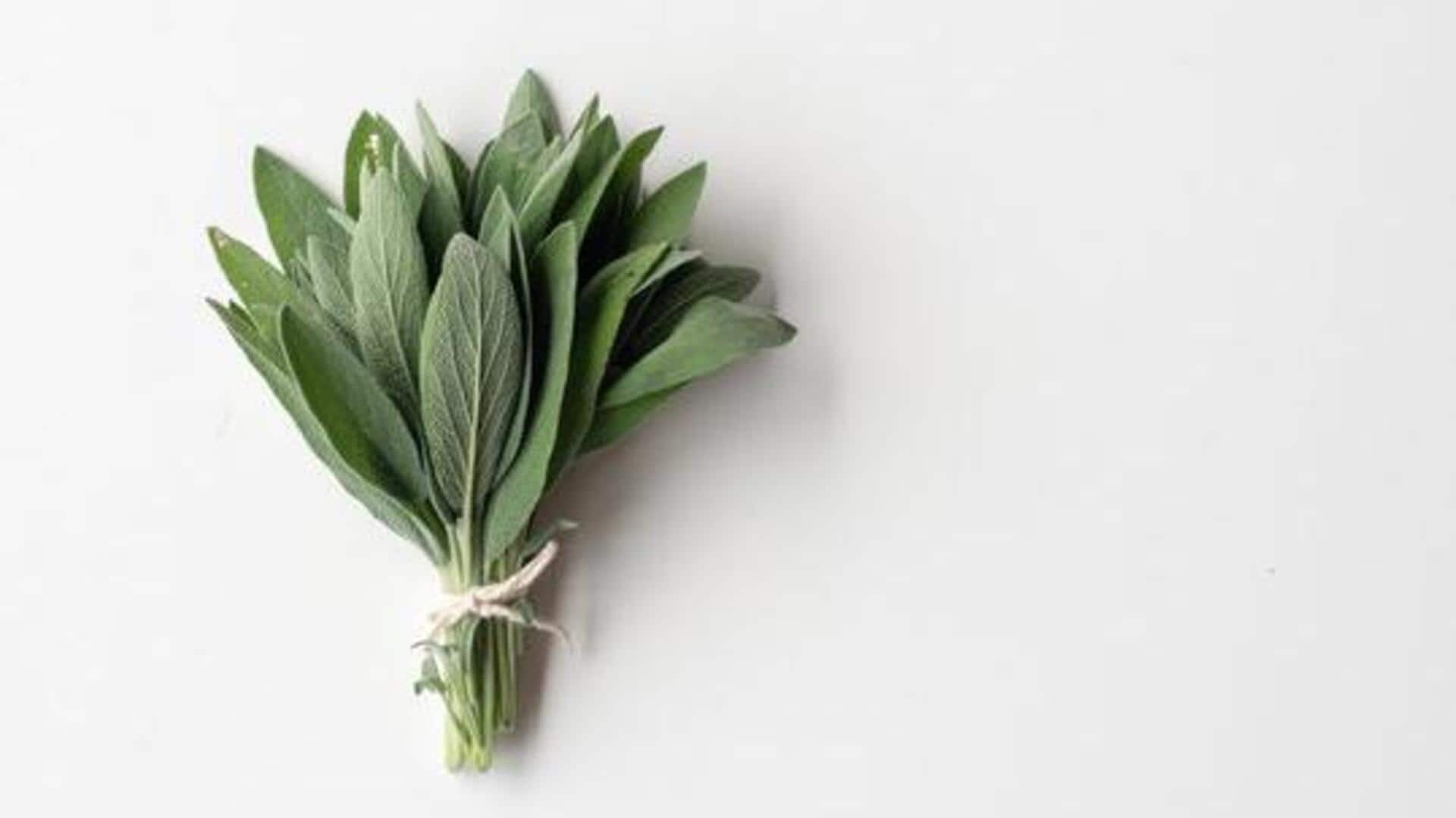 5 amazing health benefits of sage 5 amazing health benefits of sage
