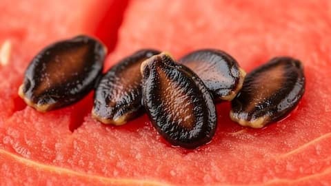 Melon seed oil: Nutrition, culinary uses, and more
