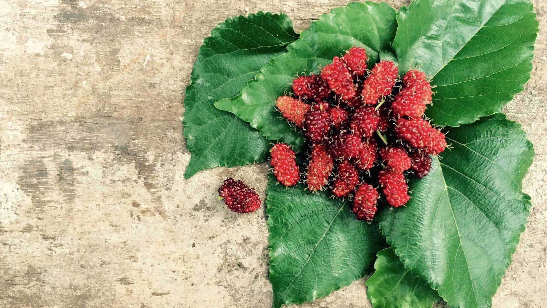 Love mulberries? You'll enjoy these vegetarian recipes
