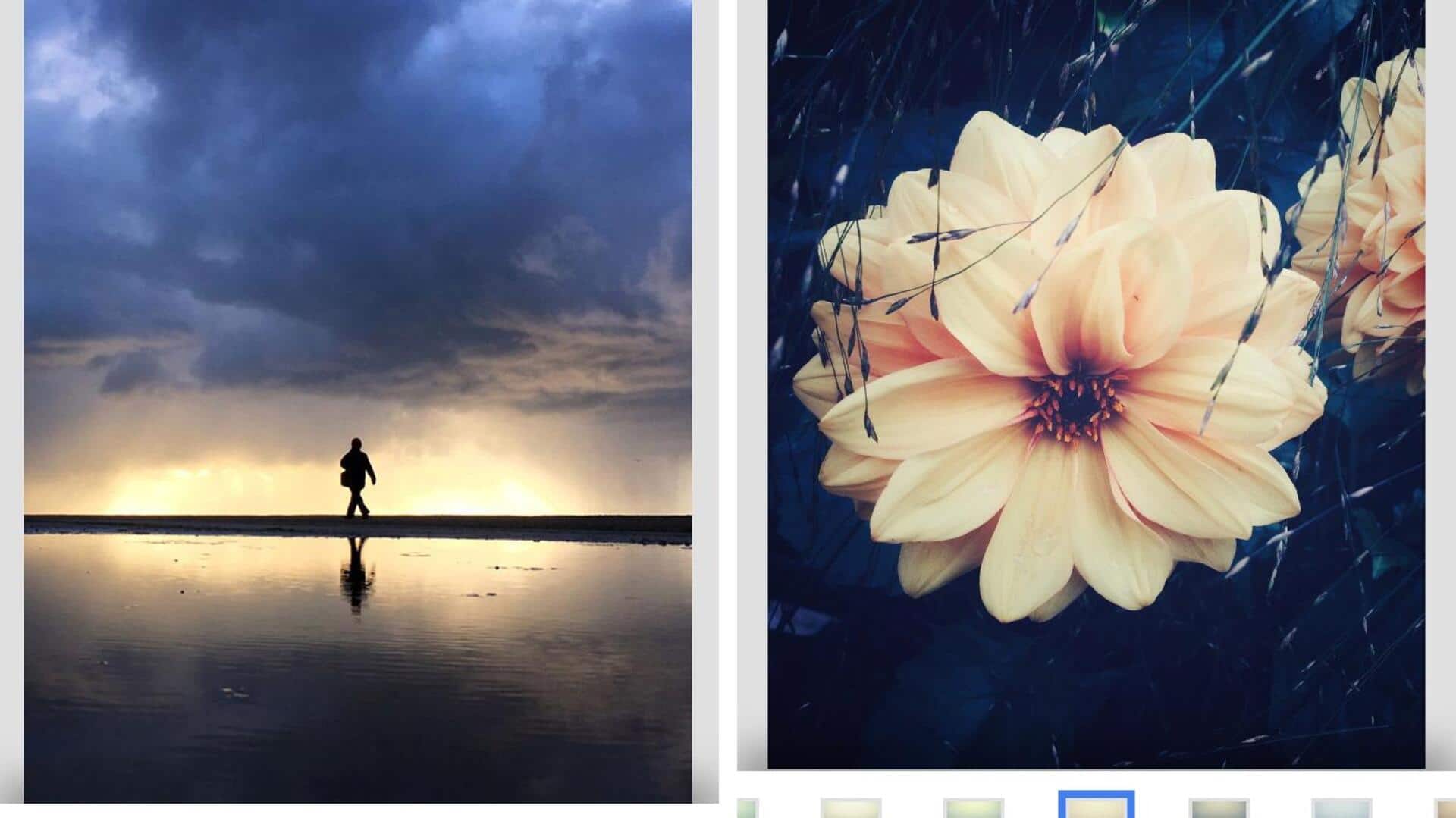 Snapseed: The ultimate free photo editing app