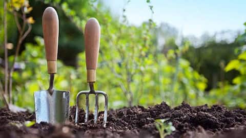 How to practice eco-friendly gardening 