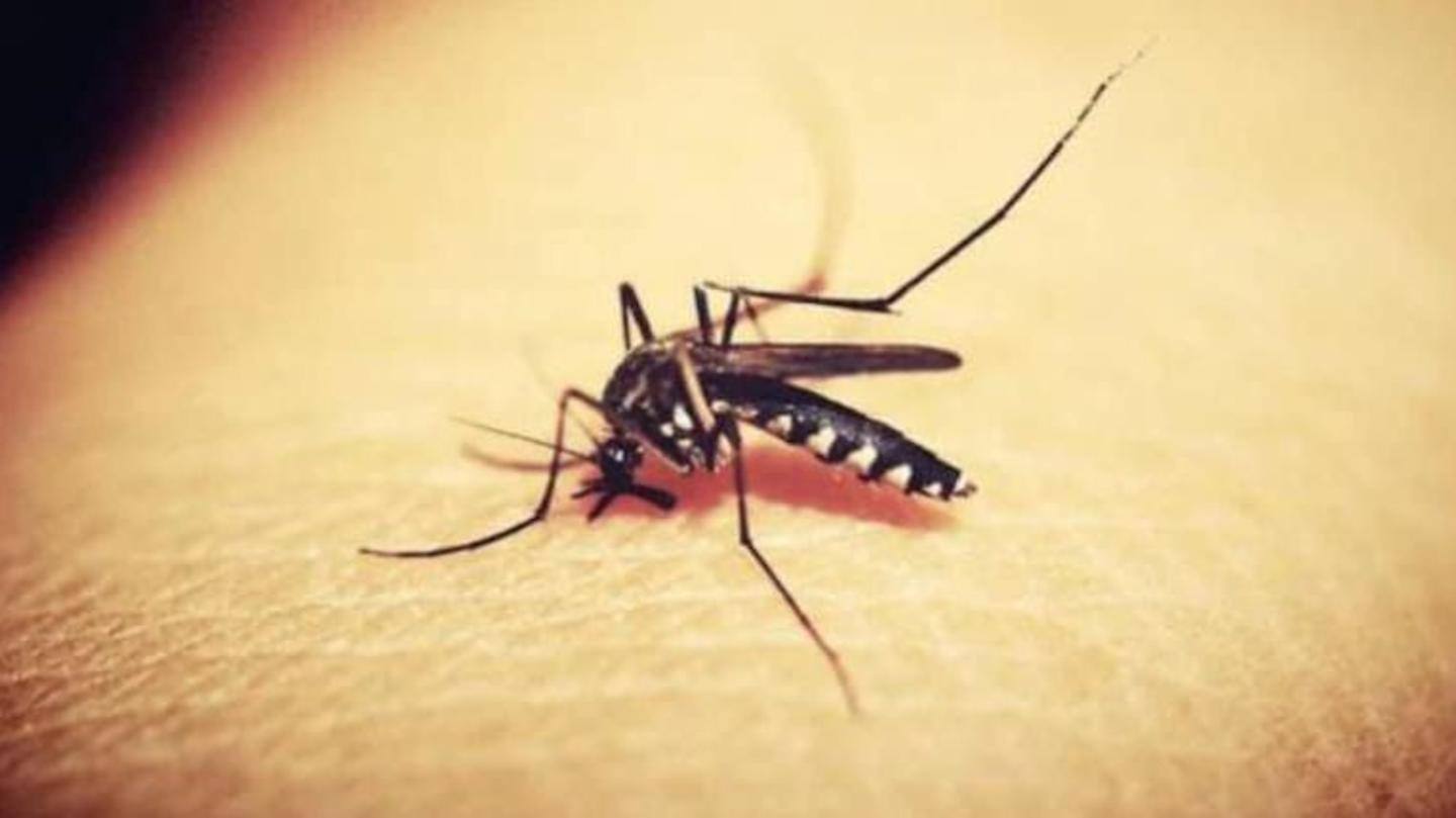 Woman was also tested for dengue and chikungunya Woman was also tested for dengue and chikungunya