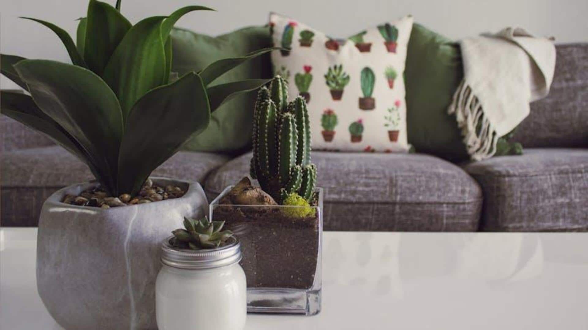 Here's how to naturally refresh your home Here's how to naturally refresh your home