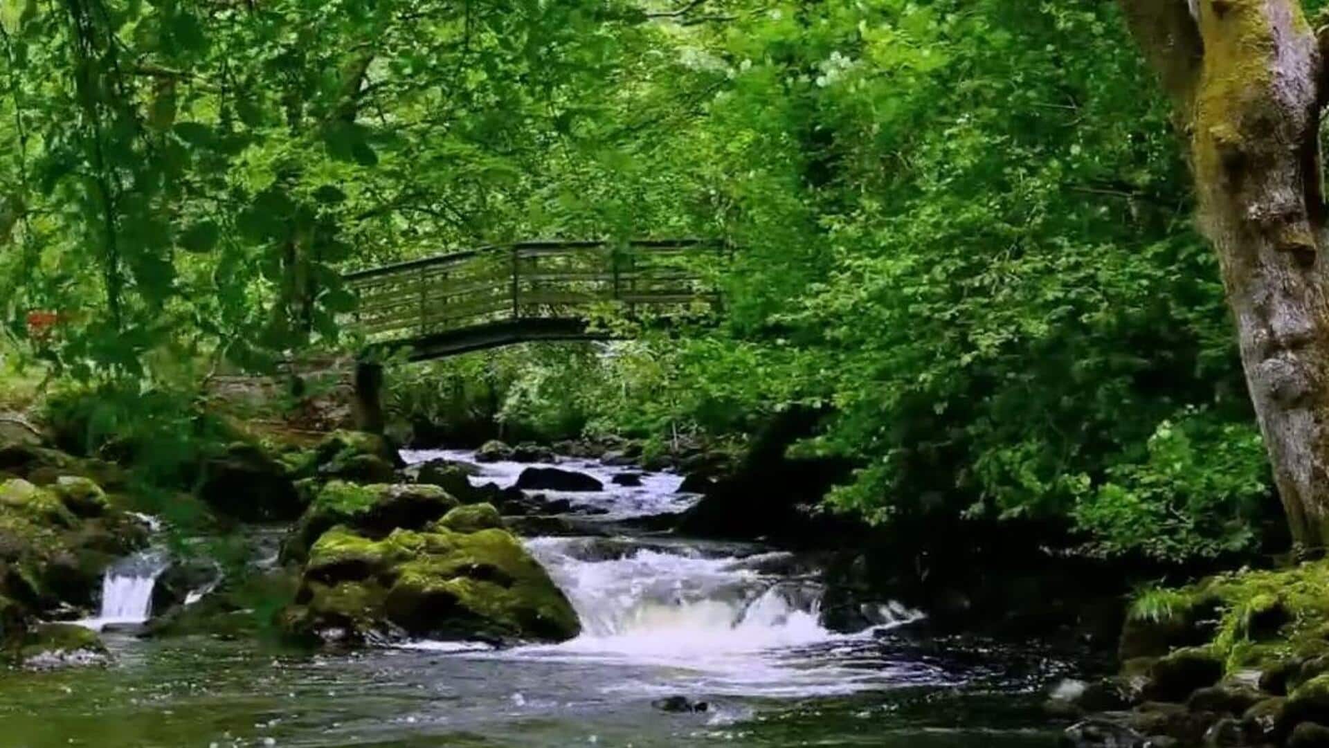 5 ways to use nature sounds to soothe your nerves 5 ways to use nature sounds to soothe your nerves