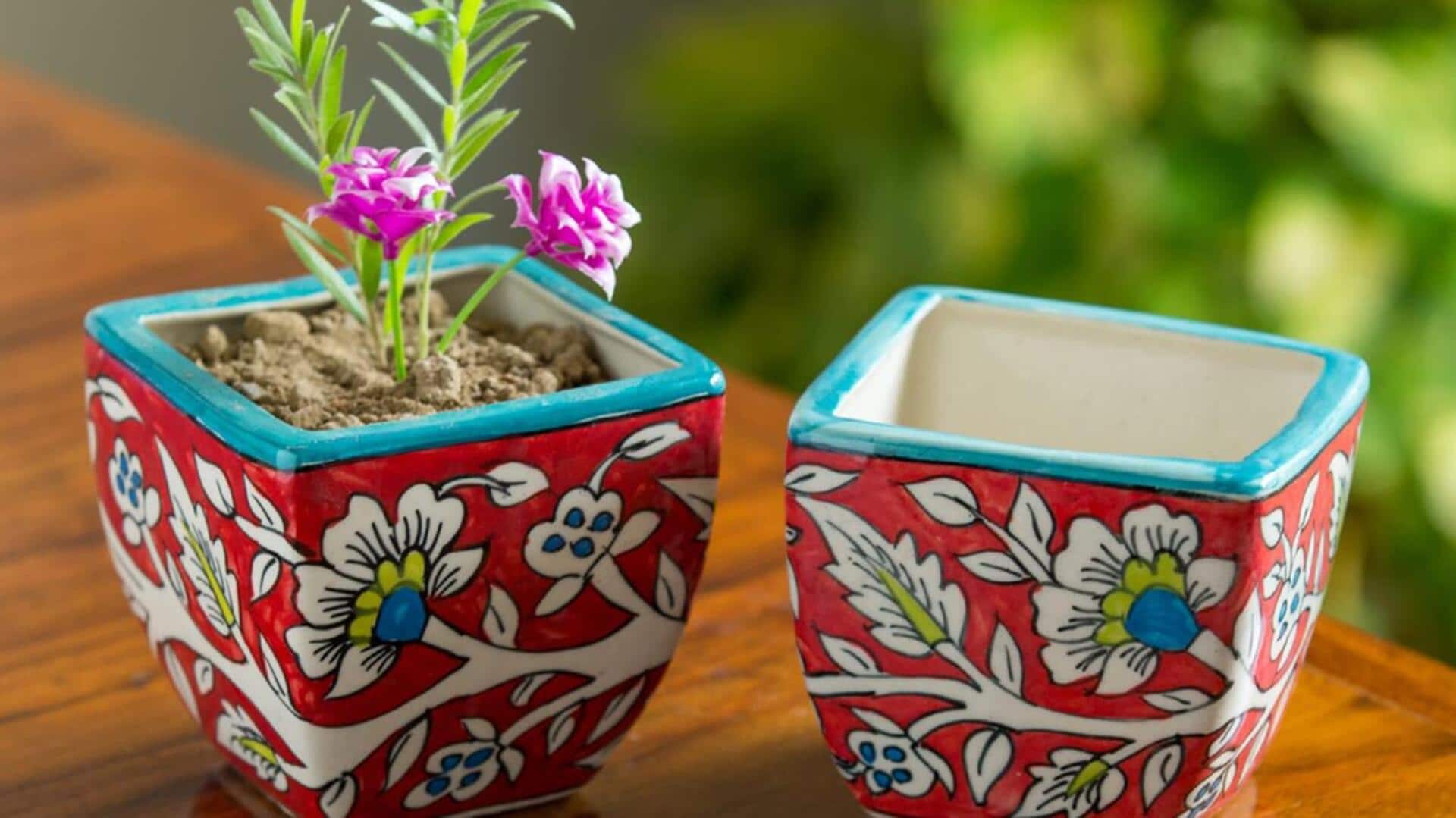 How to use hand-painted ceramic planters for home decor