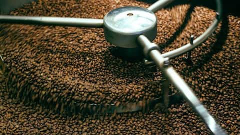 The art of coffee roasting: Tradition meets innovation