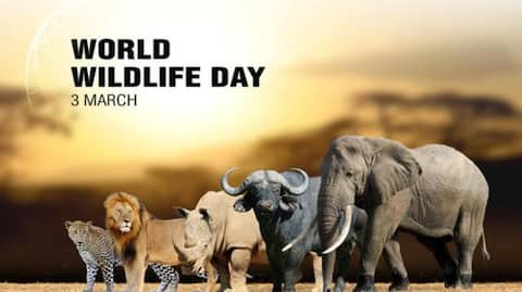 World Wildlife Day 2026: History, significance, and theme