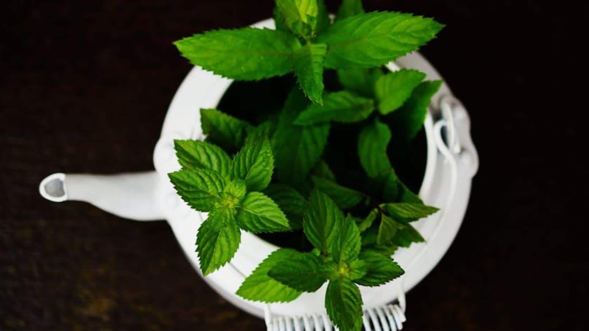 Peppermint magic: 5 cool recipes to try today Peppermint magic: 5 cool recipes to try today