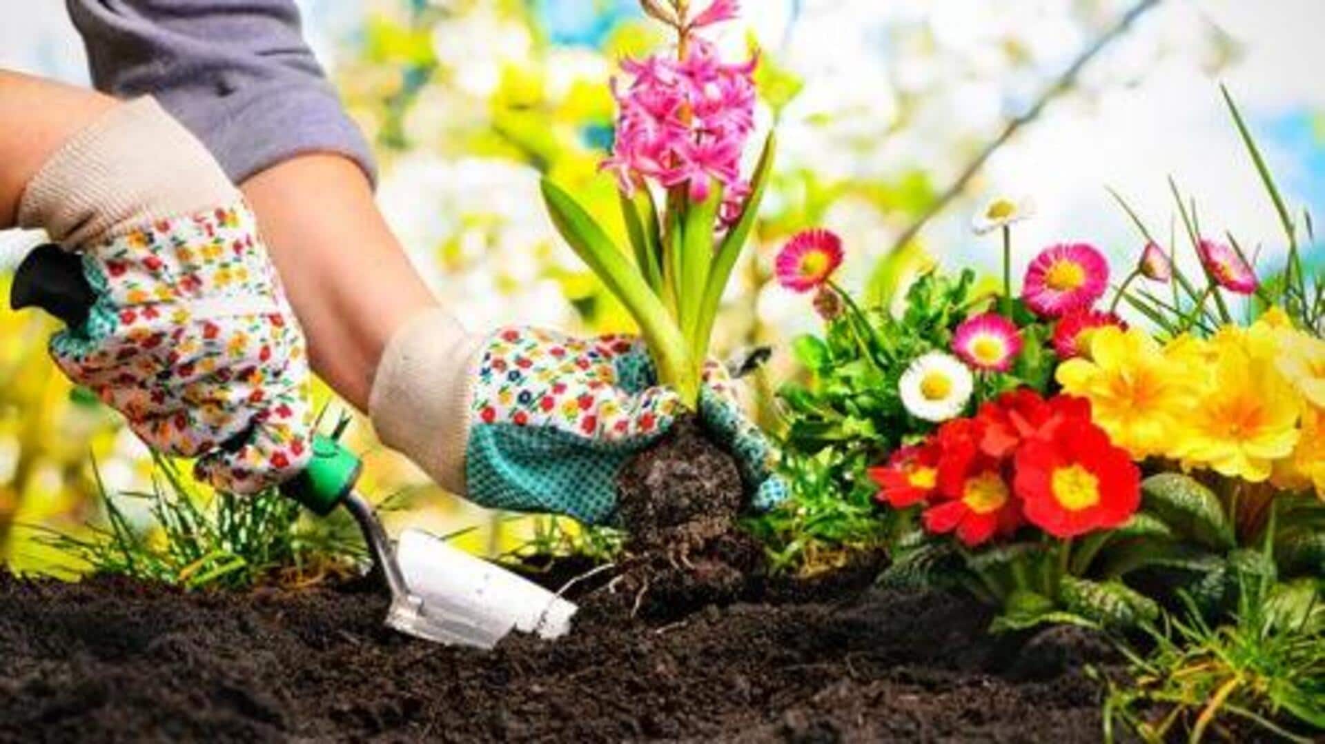 How gardening supports mental well-being How gardening supports mental well-being