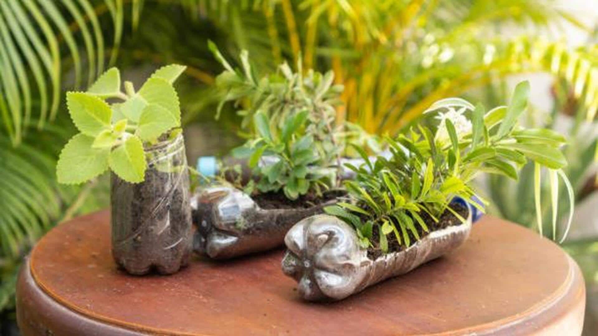 How to upcycle plastic for eco-friendly decor How to upcycle plastic for eco-friendly decor