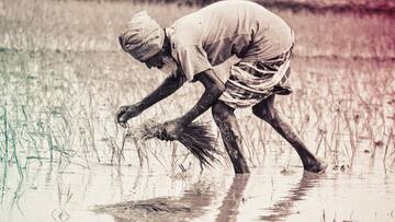 Forget global warming, farmer blames 'Indra Dev' for delayed rains