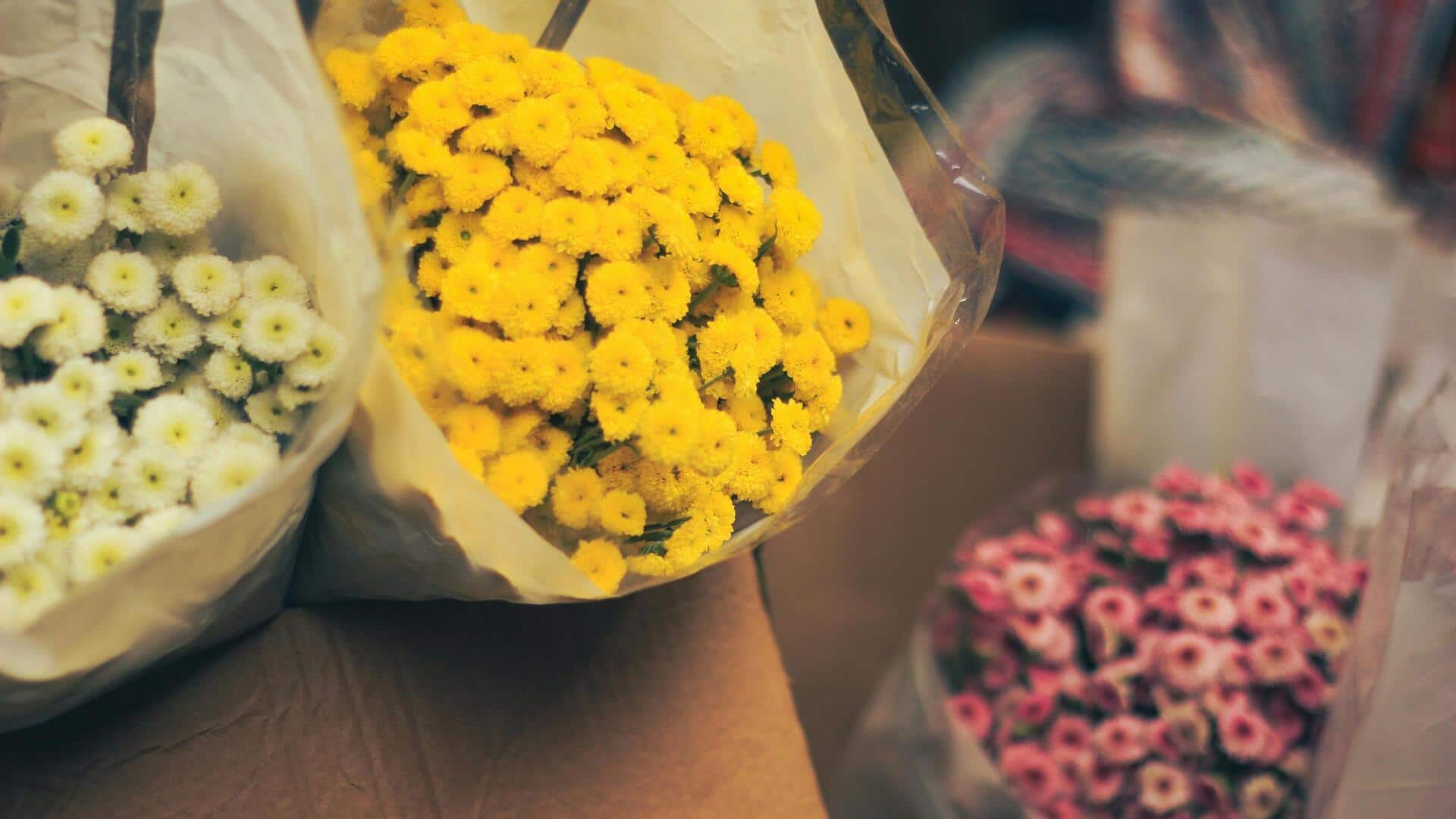 Brighten any celebration with stunning African flowers