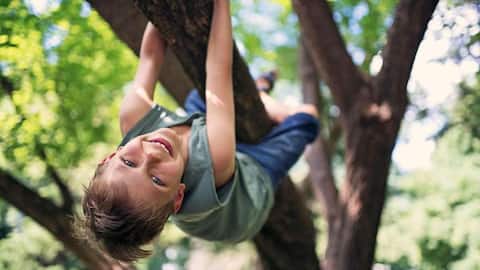 Tree climbing is more than just a fun activity