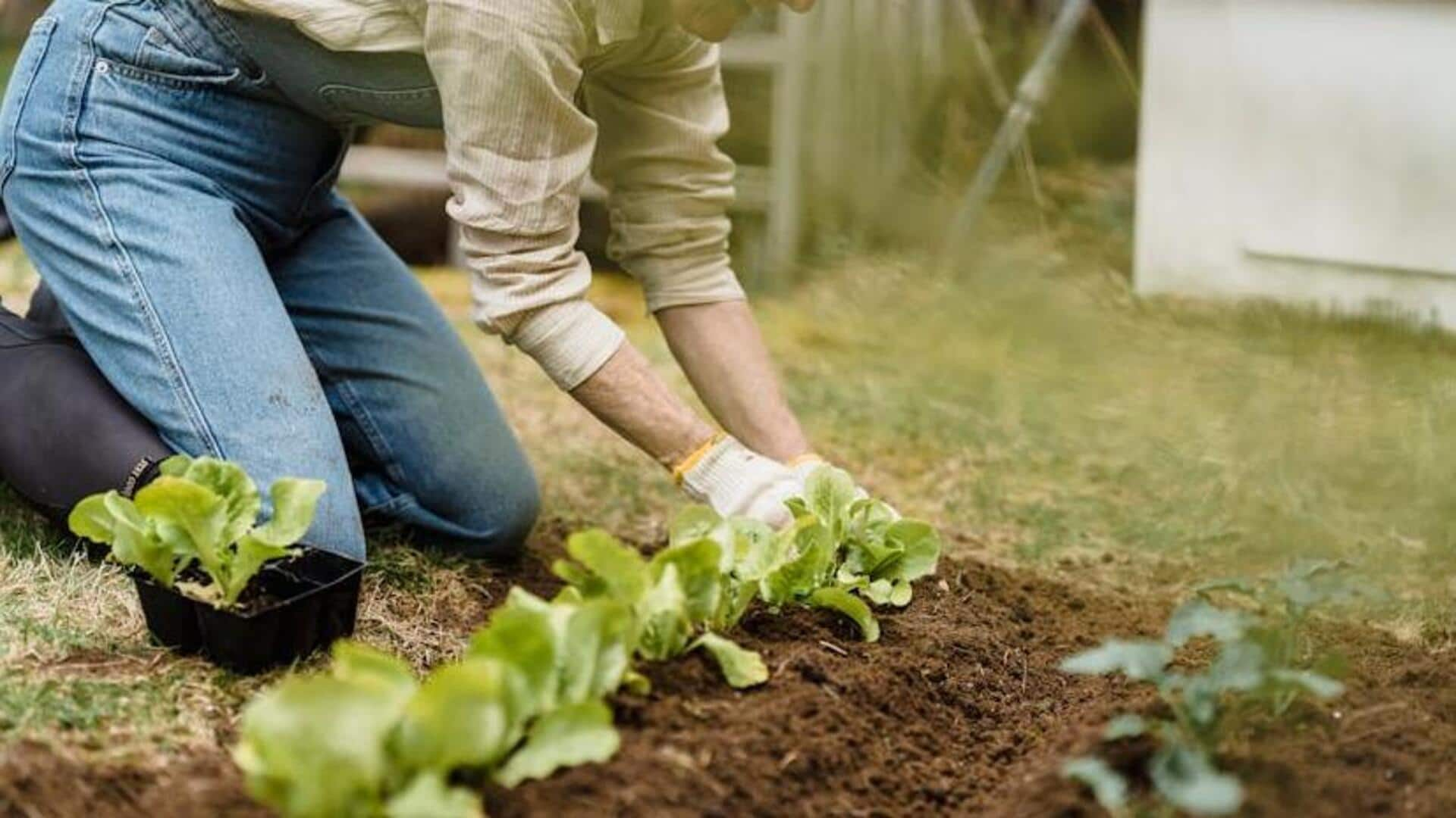 5 ways to improve health with vegetable gardening