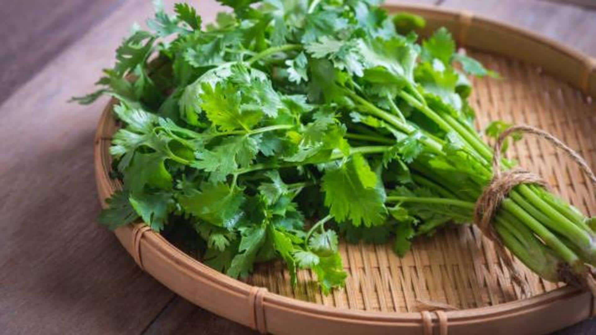 5 ways to add flavor with coriander leaves 5 ways to add flavor with coriander leaves