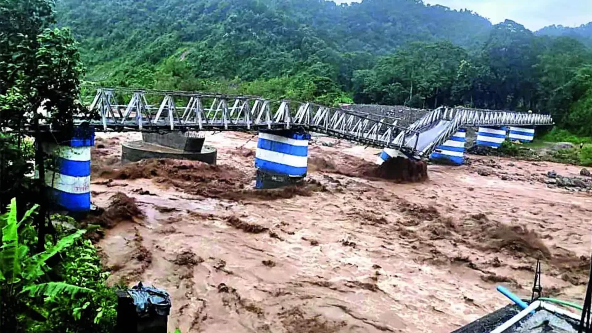 'Rhinos drown...roads turn rivers': Bengal floods leave trail of destruction 